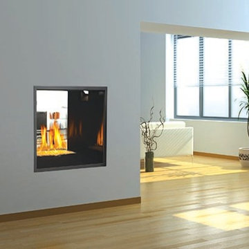 Napoleon HD81 See-Thru