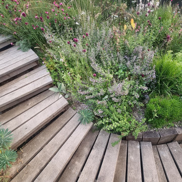 my garden