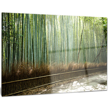 "Beautiful View of Bamboo Forest" Forest Metal Wall Art,  28"x12"