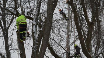 Manhattan-Elwood Library Parking Lot Expansion