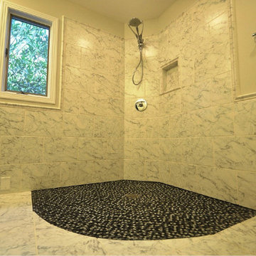 Level entry shower