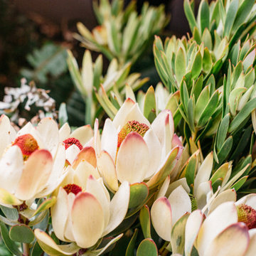 [ PRODUCT PHOTOGRAPHY ] Floral Arrangements