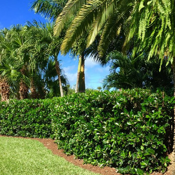 Tropical landscape spaces, All around the house.