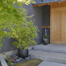 Patio Ideas