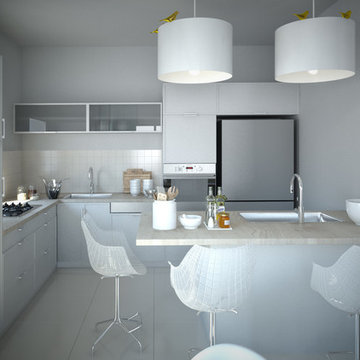 White Modern Kitchen