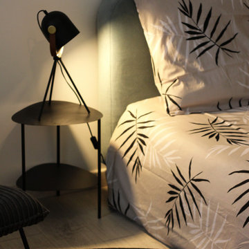 Rénovation et décoration d'un appartement en plein centre d'Albi.