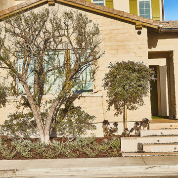 Eucalyptus Landscape