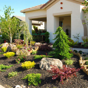 Drought Resistant Front Yard