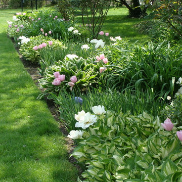 Shade Border in Spring