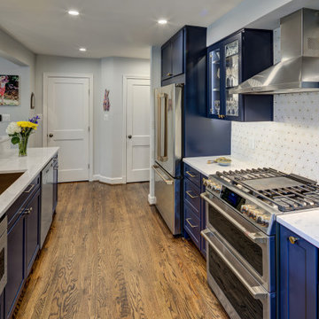 Silver Spring | Crafty Pet Friendly Kitchen and Living Room Remodel