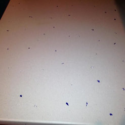 Birmingham Custom Concrete Countertops Birmingham Al Us 35205