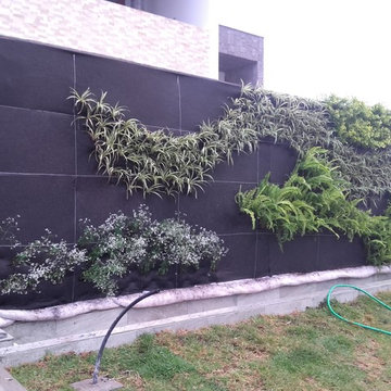 JARDINES VERTICALES