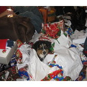Patsy Hutchins Swiderski's photo