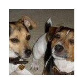 Julia Kusian's photo