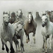 Foto von Karen Drane