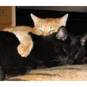 Laura Anderson's photo