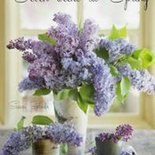 Stephanie Day's photo