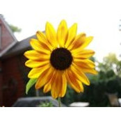 Michelle Dunlap's photo