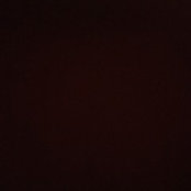 Benjamin Barrick's photo