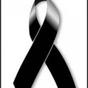 Alejandro Garcia's photo