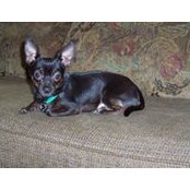 Jane Hoffman's photo