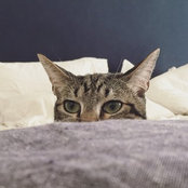 Karen Kuo's photo