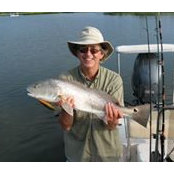 Graham Ferrells billede