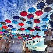 Ale Catte's photo