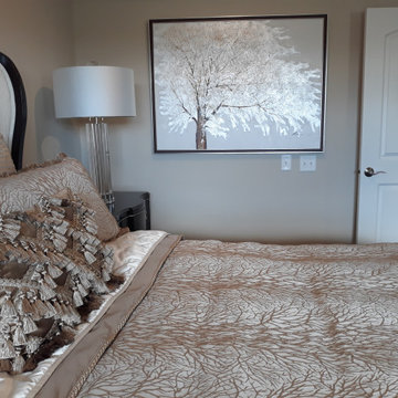 New Town Home Redecoration