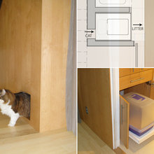 Cat Accommodations