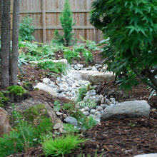 Dry Creek