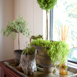 Farmhouse Modern - Plants