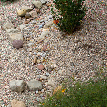 Conscious Stream Scape- Silverlake