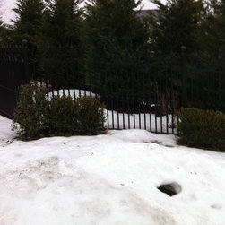 IRON DOORS and GATES - Home Fencing And Gates