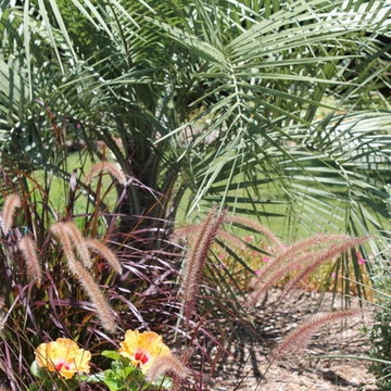 Mckinney Landscaping