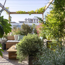 terrasses