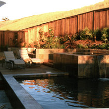 dipping pools and Jacuzzies