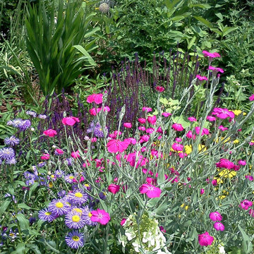 Lansing Sustainable Landscape