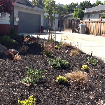 Lawn Conversion for an Entire Property