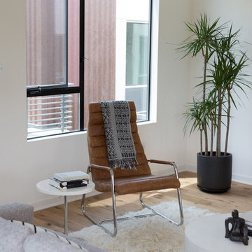Dragon Tree with Leather Lounge Chair