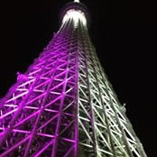 Fumitaka Tomo's photo