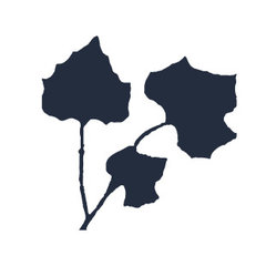 Kankel Conroy Rose & Hill Landscape Architecture