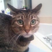 Leah Schmid's photo