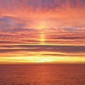 Allan Bell's photo