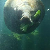 Ann Beckman Pesa's photo