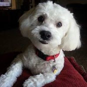 Joyce Tews's photo