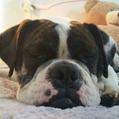 Geoff VanDeusen's photo