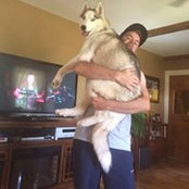 Lucas MacIntyre's photo