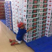 Phúc Phan Đình's photo