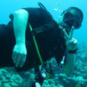 Tong NGO's photo